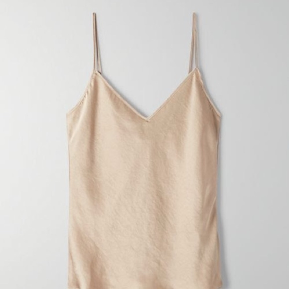 Aritzia- Wilfred Only Camisole